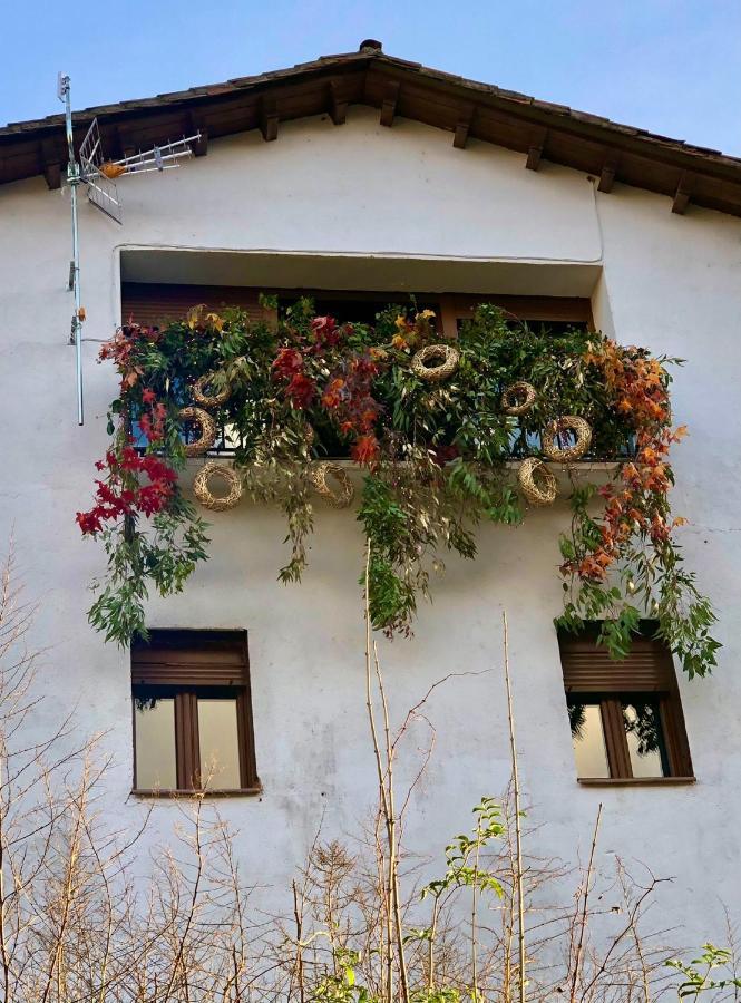 Apartamentos En El Valle Del Jerte Flores Para Angela Cabezuela Del Valle Esterno foto